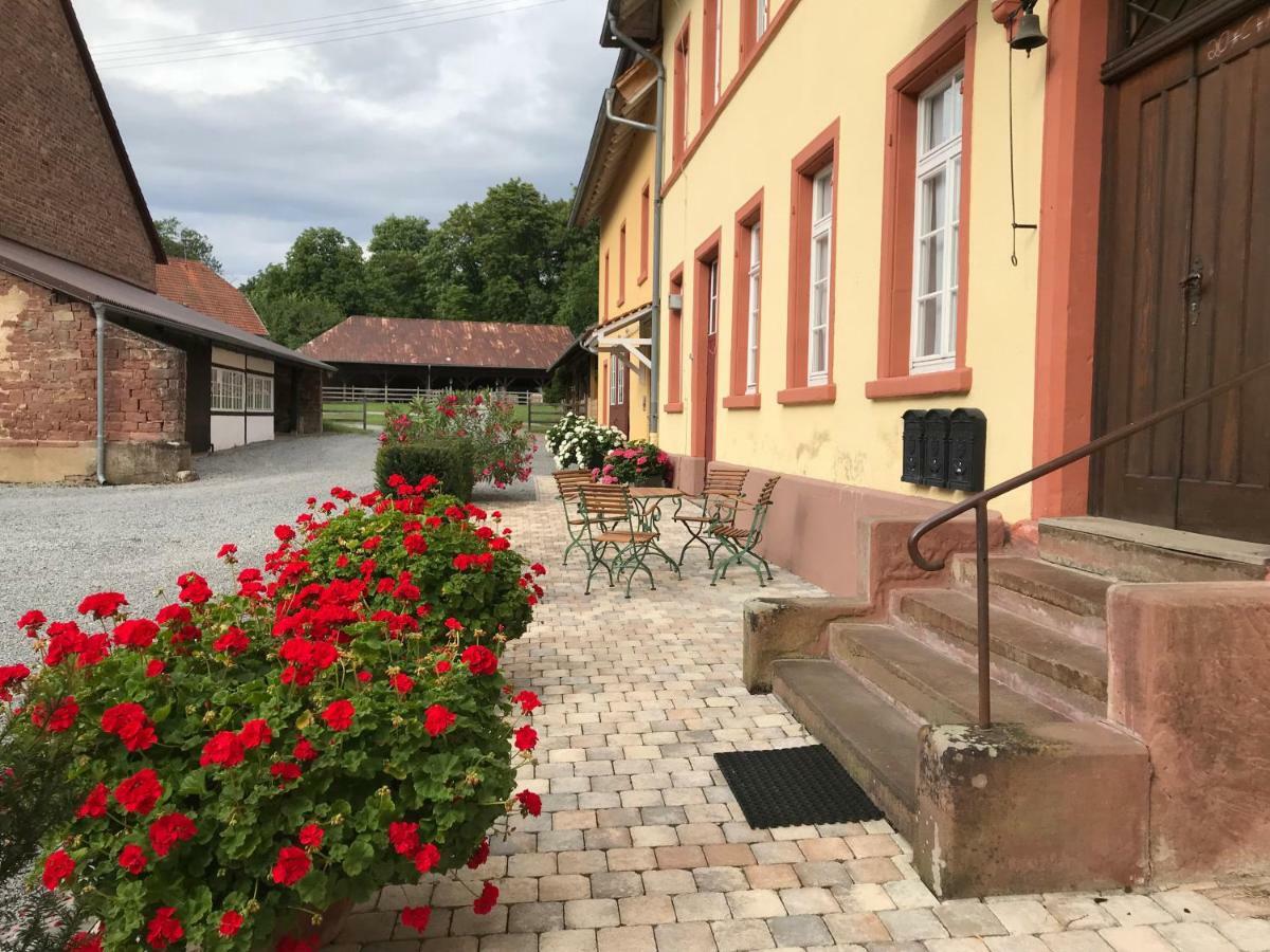 Elegantes Gaesteapartment Verano In Schloss Und Hofgut Langenzell Wiesenbach Εξωτερικό φωτογραφία
